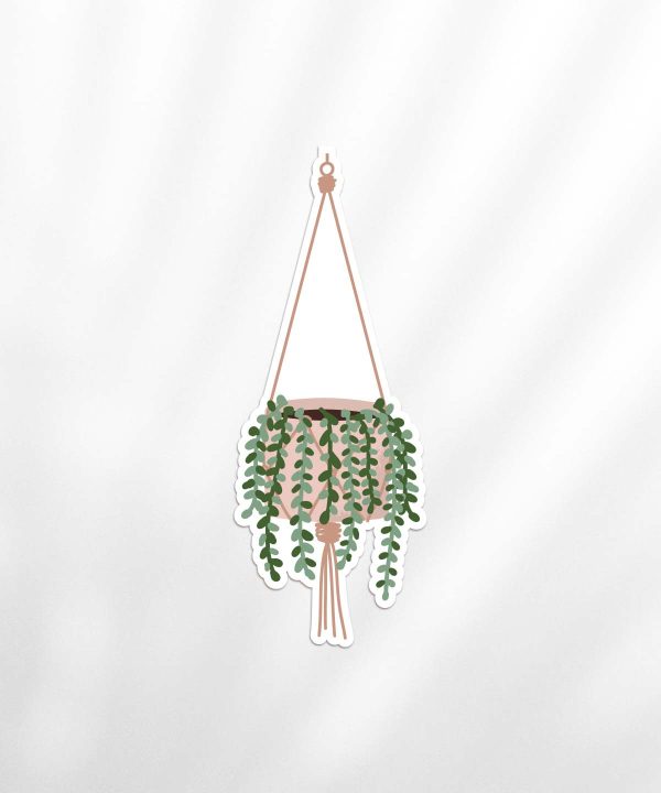 Green Farm Boutique | product stickers burro tail plant 01